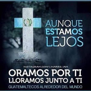 Meet your Posher, Nelson